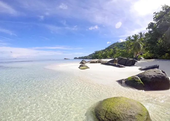 Ocean View - Beauvallon * Beau Vallon (Mahe)